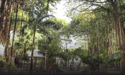 Au jardin de la Compagnie: un haut gradé de la police piège une prostituée