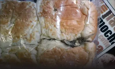 Hygiène alimentaire : un lézard dans son pain