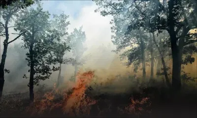 Incendie dans le sud de la France : 10.000 personnes évacuées