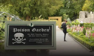 Angleterre : un jardin rempli de plantes toxiques et mortelles