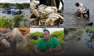 Éleveur d’huîtres - Kemraj Persand : «Le plus beau des métiers, c’est de vivre de sa passion»