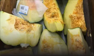 Des moucherons sur des giraumons dans un supermarché