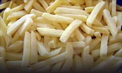 Acheter «Malin» - Frites surgelées : la concurrence maintient les prix