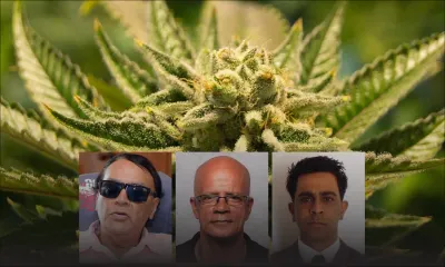 Légalisation du cannabis : à quand la fin de l’éternel débat?