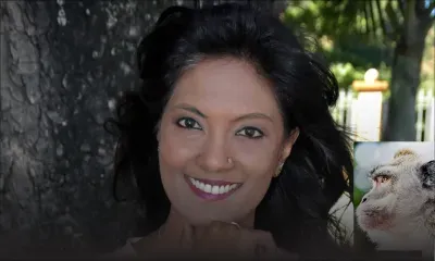 Maurice critiqué après l’exportation de 500 singes vers les USA