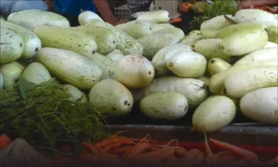 Légumes: stabilité maintenue dans les prix