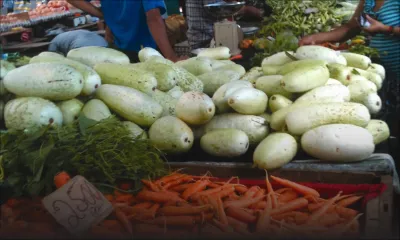 Légumes: risque de hausse des prix d’ici deux semaines