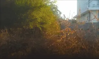 Les cambrioleurs sont passés par un terrain en friche