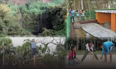 Jardin de Balfour : la renaissance