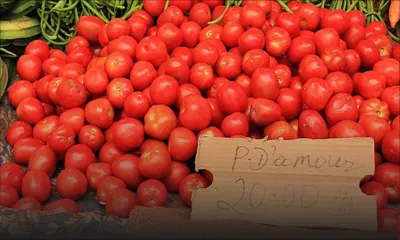 La Pomme d’amour : les prix vont à nouveau flamber
