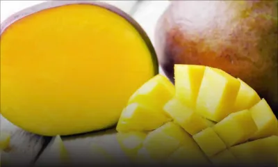 Production de mangues : les prix flambent