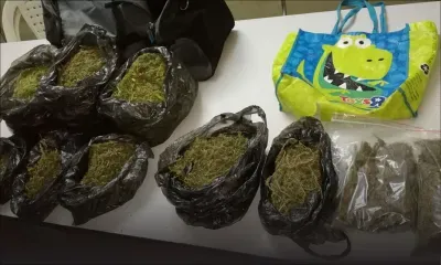 Trou-aux-Biches : un mécanicien arrêté avec 3 kg de cannabis et Rs 829 000