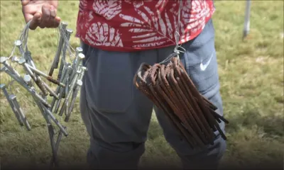Sabotage au Champ de Mars : La Police des jeux prend le relais de la CID de Port-Louis Sud