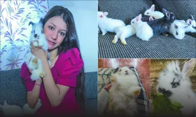 Rashmita Chattoo, 18 ans : éleveuse de lapins et… d’indépendance