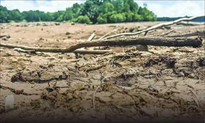 Spectre de la sécheresse : le compte à rebours de l’eau
