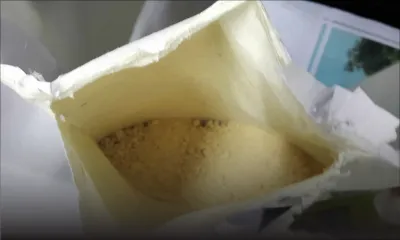 Trafic de drogue: la voie postale privilégiée