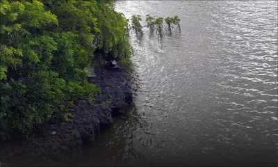 Deux cadavres découverts ce vendredi : celui d'une femme à Ferney et d'un homme à Pamplemousses