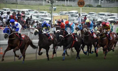 Hippisme : l’ouverture de la saison 2020 renvoyée 