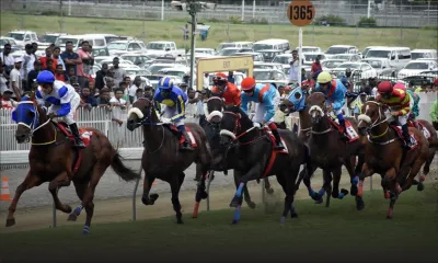 Au Coeur de l'Info - Hippisme : zoom sur les paris clandestins