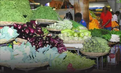 Les légumes importés sur les étals des marchés ce lundi