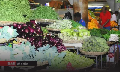 Prix des légumes : baisse de 50 à 75 %, note la Small Planters Association  