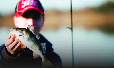 La pêche : une industrie qui vaut toujours son pesant d’or