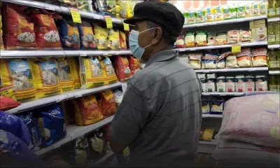 Baisse de production en Inde et au Pakistan - Riz basmati : augmentation des prix en vue