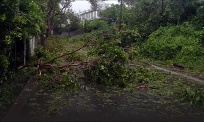 L’heure est au bilan : Rodrigues à genoux après Joaninha