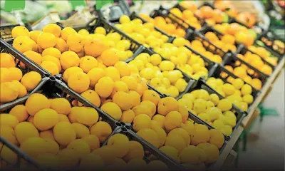 Importations en provenance d’Égypte : le retard des bateaux impacte la qualité des fruits