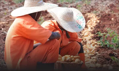 Pour obtenir un ‘early trial’ : 200 détenus plaident coupables par écrit