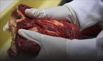 Consommation : hausse de 15 à 20 % du prix de la viande surgelée 