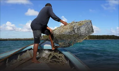 Covid-19 : 1 810 pêcheurs recevront Rs 5 100 