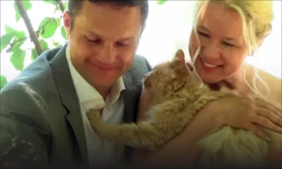 Ils se marient entourés de 1100 chats