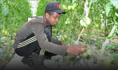Top Nature : vers une consommation de légumes sains