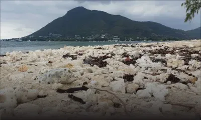 Les Salines Peninsula : ville hôtelière en devenir