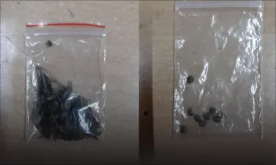 Un policier affecté à l’aéroport arrêté avec du gandia