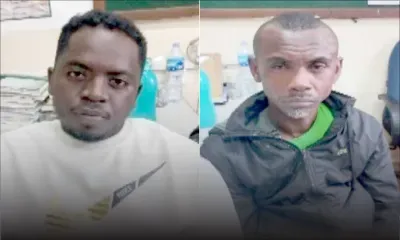 Dans le Sud : deux Malgaches pris la main dans le sac… de poulet 