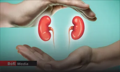 À l’hôpital Victoria, Candos : la transplantation rénale bientôt relancée 