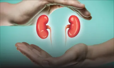 Hôpital Jawaharlal-Nehru : le Pr Nizam Fatehmamode mettra en place la Renal Transplant Unit