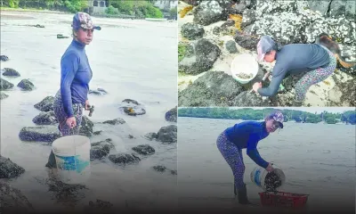 Alexandra Beeharry : pêcheuse d’huîtres et mère courage