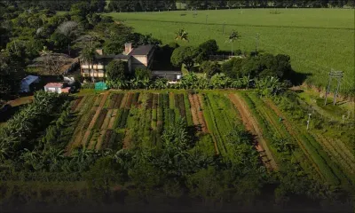 [Ecosphère] MCB Agro-Ecological Farm : Laboratoire d’un Futur Fertile