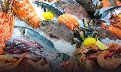 Fruits de mer : quand l’océan vous régale…