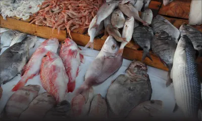 Statistiques : ce que le  pays a produit au cours des six premiers mois de l’année