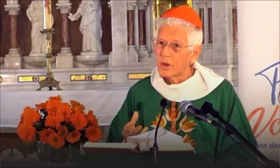 Festival des vocations : le cardinal Piat plaide en faveur d’un soutien pour ceux qui ont dérivé