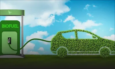 Transition énergétique - Biofuel : une opportunité sous-estimée depuis 20 ans