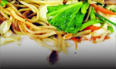 Son «mine frit» servi avec... un cafard