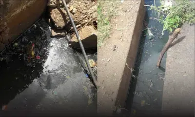 À Sainte-Croix : une eau stagnante dérange