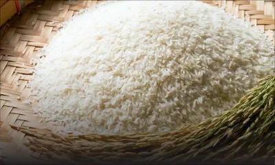 Hausse éventuelle de 10 à 20 % du prix du basmati