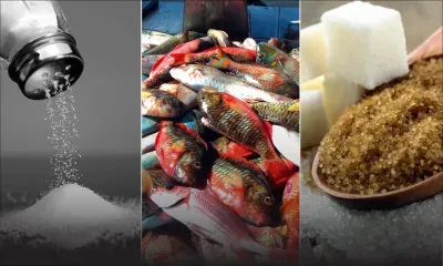 Sel, sucre, poisson: pourquoi on importe ces produits