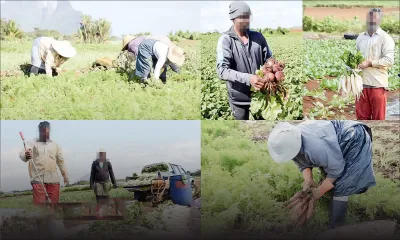 Usage abusif des pesticides : des légumes et fruits pas sains dans nos assiettes